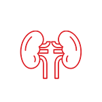 Kidney Dialysis