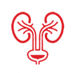 Pune Institute of Nephro Urology-The department of nephrology