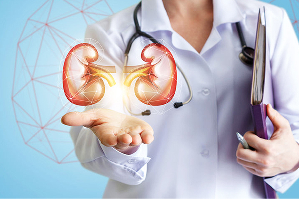 Best Nephrologist in Pune- Pune Institue of Nephro Urology