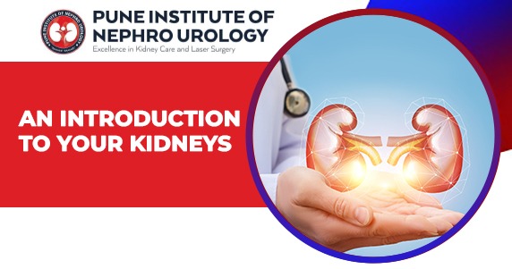 Pune Institute Of Nephro Urology(PINU), Pune